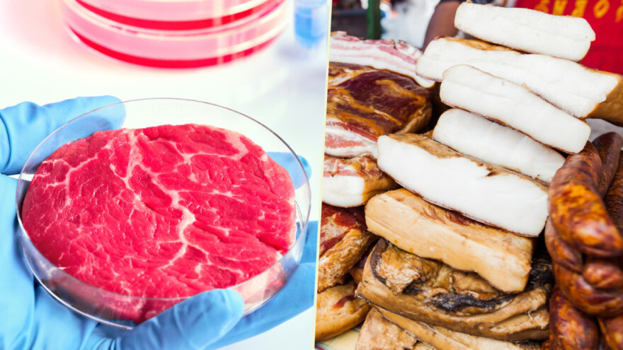 Dilema koja to nije: Sintetičko meso iz 2050. ili zdrava slanina iz 2024.