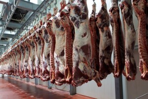 Saudijska Arabija prihvatila upitnik za izvoz crvenog mesa i piletine iz BiH