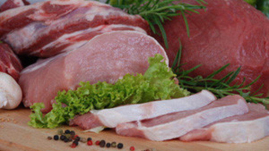 Proširenje suvremene mesne industrije Ravlić