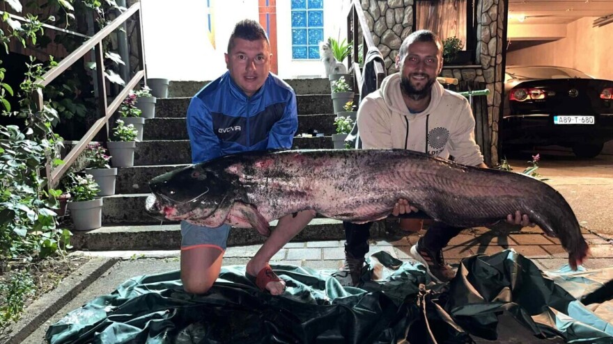 Noć za pamćenje donela kapitalca: "Mislio sam da se otkačio"