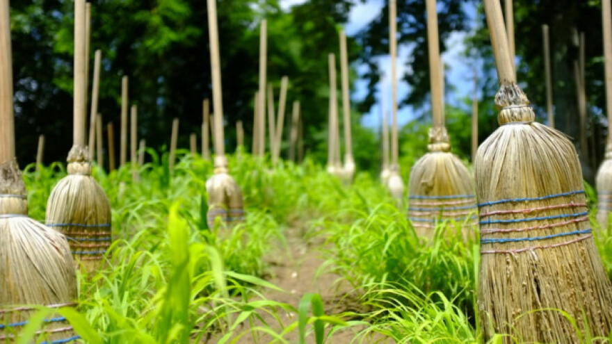 I metla ima nauku koja se njome bavi