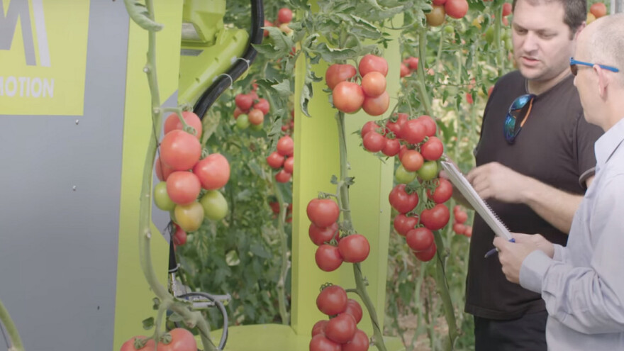 Robot berač paradajza štedi 50% troškova radne snage i prikuplja korisne informacije