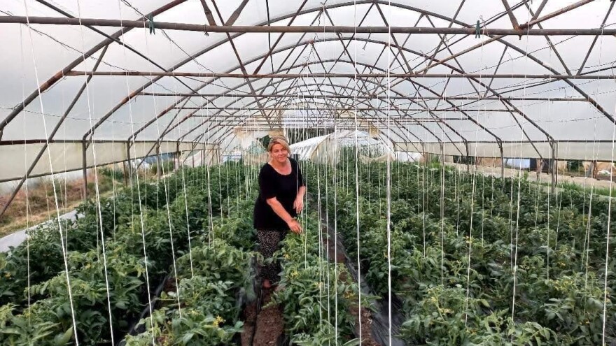 Mevlida Saltagić: Zbog zdravlja sam se okrenula vlastitom uzgoju povrća