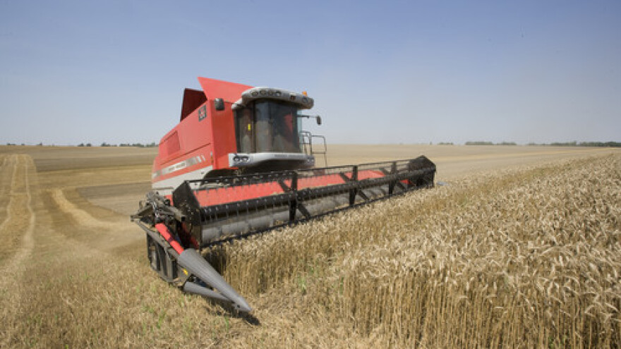 Kombajn Massey Ferguson Kombajni MF Delta