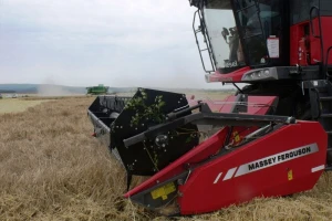 Kombajn MF 7345S uz minimalne troškove fantastično skida usjeve i u najtežim uvjetima!