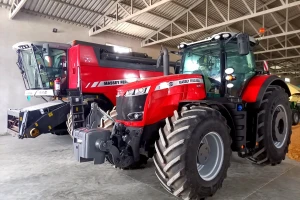 Kod Kozareva Massey Ferguson i ore i žanje