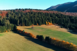Mrkonjić Grad prodaje dva pašnjaka, poznata i početna cijena
