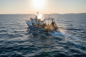 Mi se odrekli gospodarskog pojasa, a Europska komisija predlaže da ga uvedemo