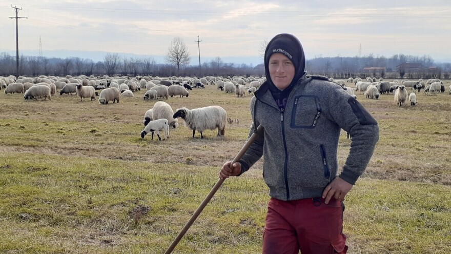 Život ovčara je pun iskušenja, ali lep