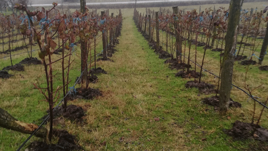 Promenljivo oblačno sa kišom