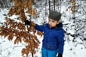 Božić dolazi u porodicu sa položajnikom