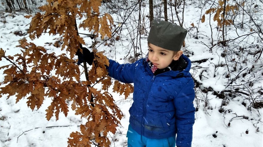 Božić dolazi u porodicu sa položajnikom