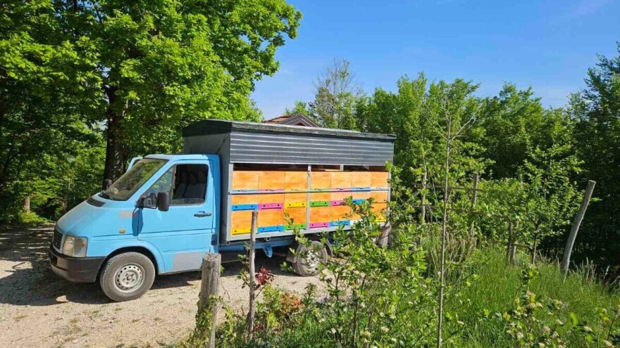 Mihajlove "putujuće košnice": Mnogo košta i nije baš jednostavno