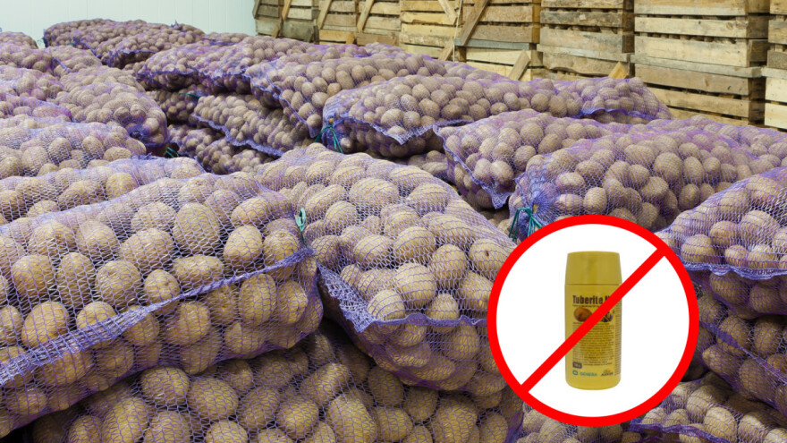 Zabrana klorprofama: proizvođačima veći troškovi, potrošačima skuplji krumpir