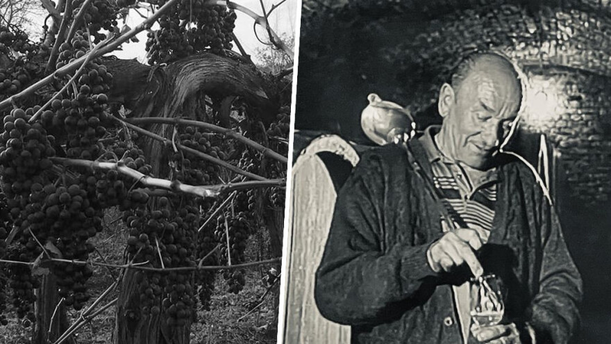 Preminuo je Mihalj Gerstmajer - Mišika stariji, pionir baranjskog vinogradarstva i vinarstva