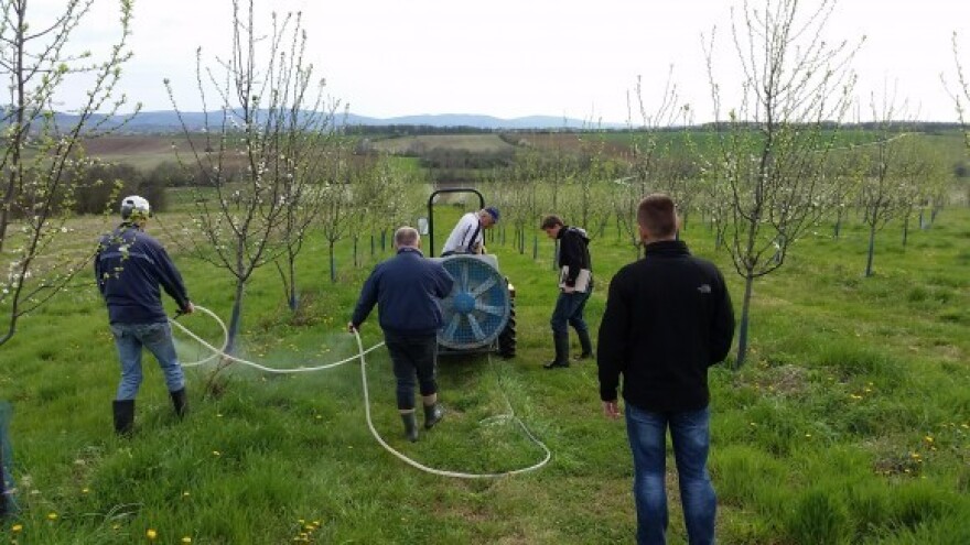 Mikoriza - nova tehnologija u poljoprivredi