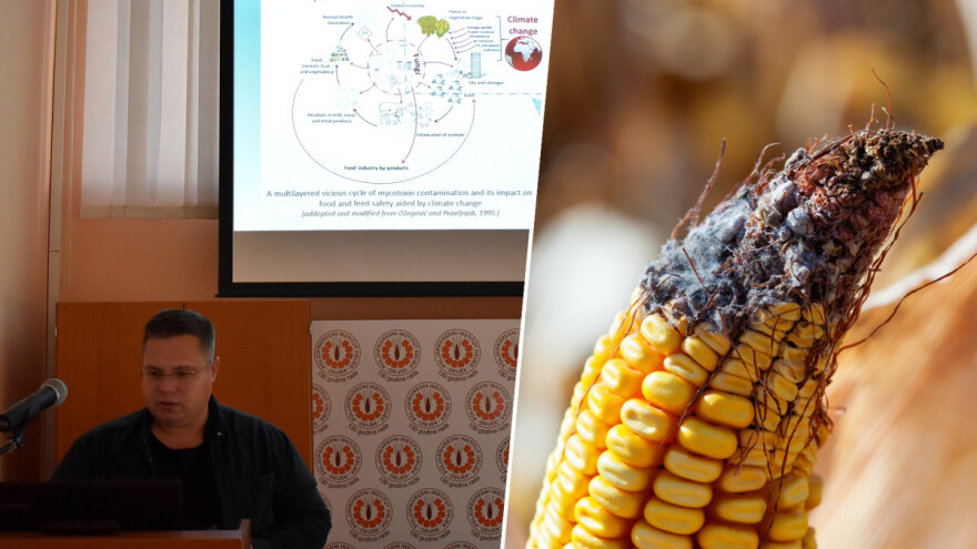 I plijesni trpe stres: U budućnosti nas čekaju novi mikotoksini - gdje su rješenja?