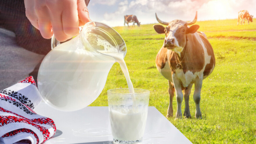 Mlijeko je sigurno, nema mikotoksina