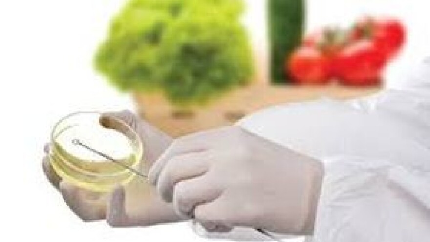 Mikrobiološki kriteriji za hranu