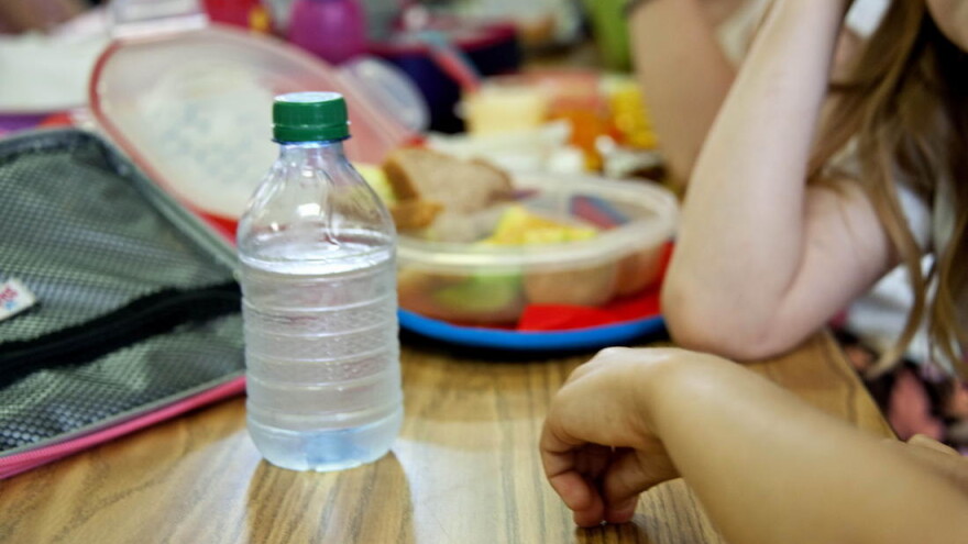 Bečki naučnici dokazali: Mikroplastika završava u ljudskom organizmu