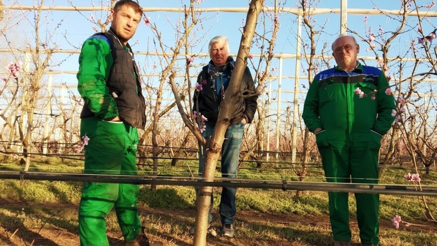 Eliminirali herbicide, udvostručili prinose, dobili Global Gap i osvojili europske trgovačke lance