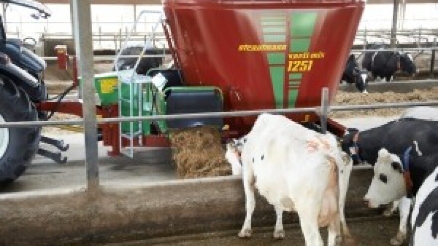 Želite isprobati Strautmann miksericu?