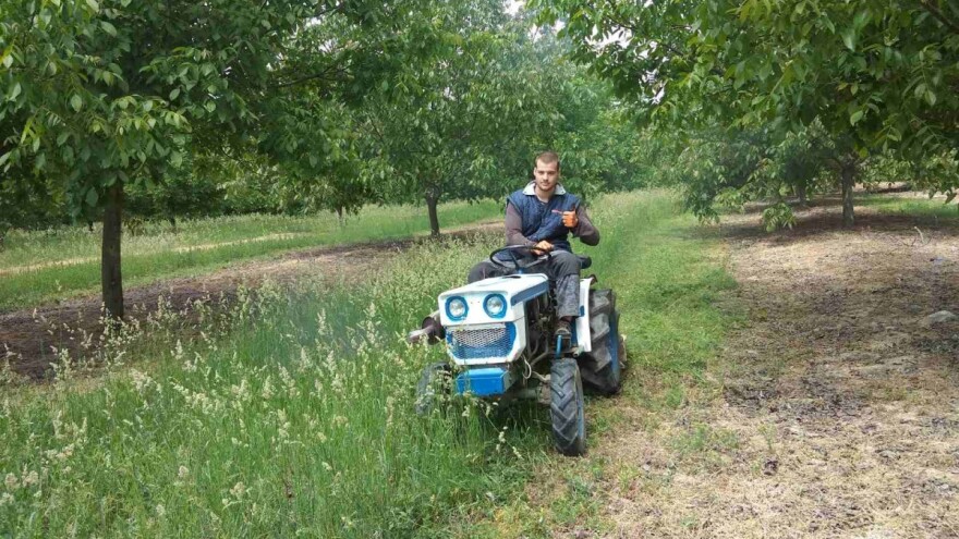 Zoran Mikula: Nije problem posaditi već dočekati da orah krene