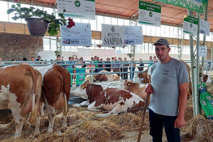 Apsolutna šampionka Lara daje i do 52 litre mlijeka dnevno