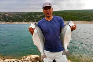 Bilećko jezero bogato je ribom izuzetnog kvaliteta