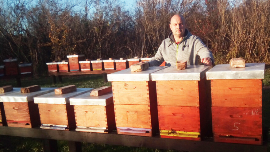 Milan Mesić: Kakvo je stanje u pčelarstvu? Pomalo kaotično