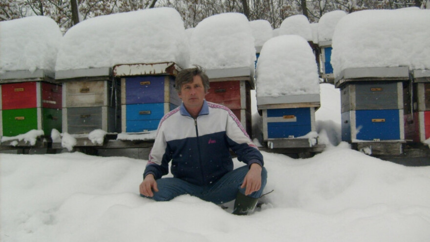 Edukacija u pčelarstvu presudna za uspeh