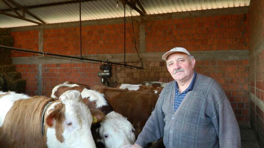 Milan Todorović: Od poljoprivrede se teško živi ali je mlečno govedarstvo isplativo