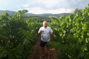Ivica Milan: Od brodograditelja do šampiona autohtonih vina