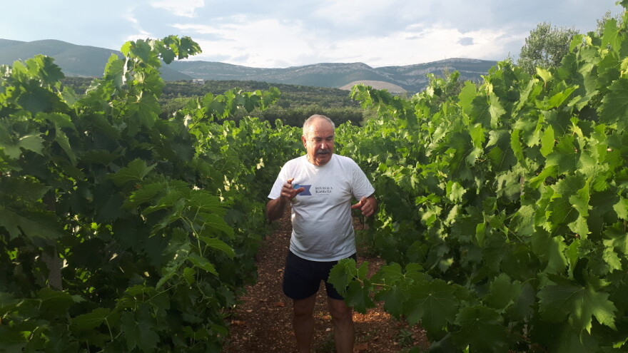 Ivica Milan: Od brodograditelja do šampiona autohtonih vina