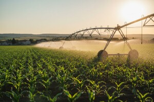 Milanović o stanju u poljoprivredi