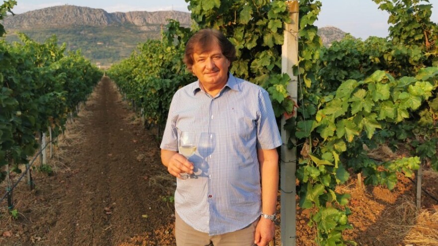 Milas: Spremamo manifestaciju "Kušaj ljubuška vina" za 1.500 ljudi