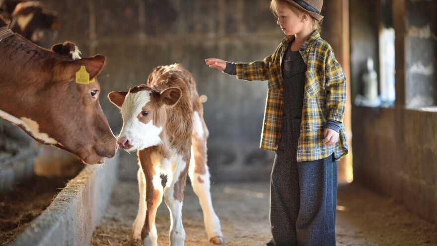 Otvoren je RuralFoto - izbor najboljih ruralnih fotografija u 2025. godini