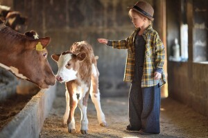 Otvoren je RuralFoto - izbor najboljih ruralnih fotografija u 2025. godini