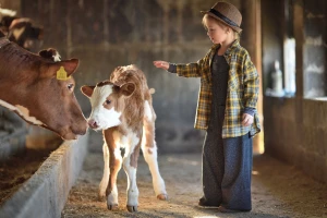 Otvoren je RuralFoto - izbor najboljih ruralnih fotografija u 2025. godini