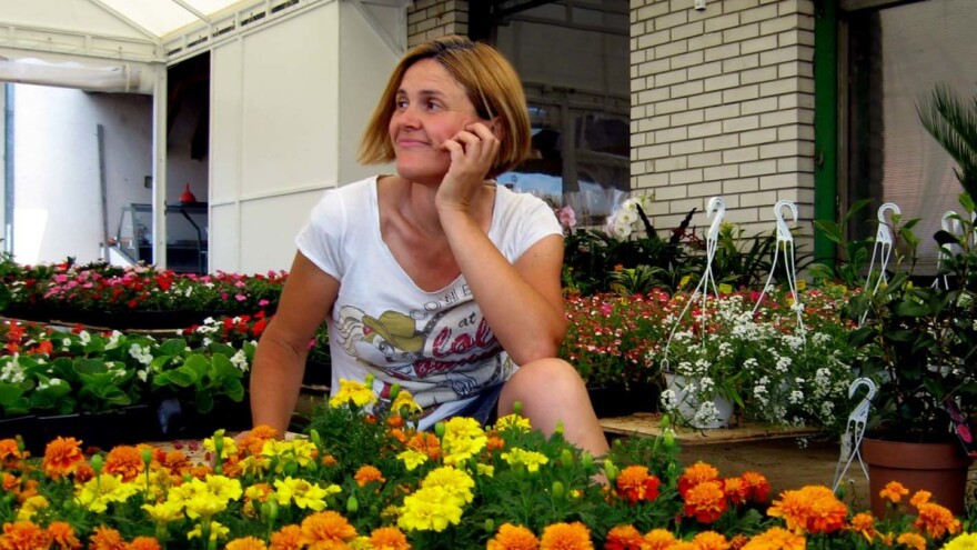 Kragujevac: Pola miliona saksija cveća godišnje