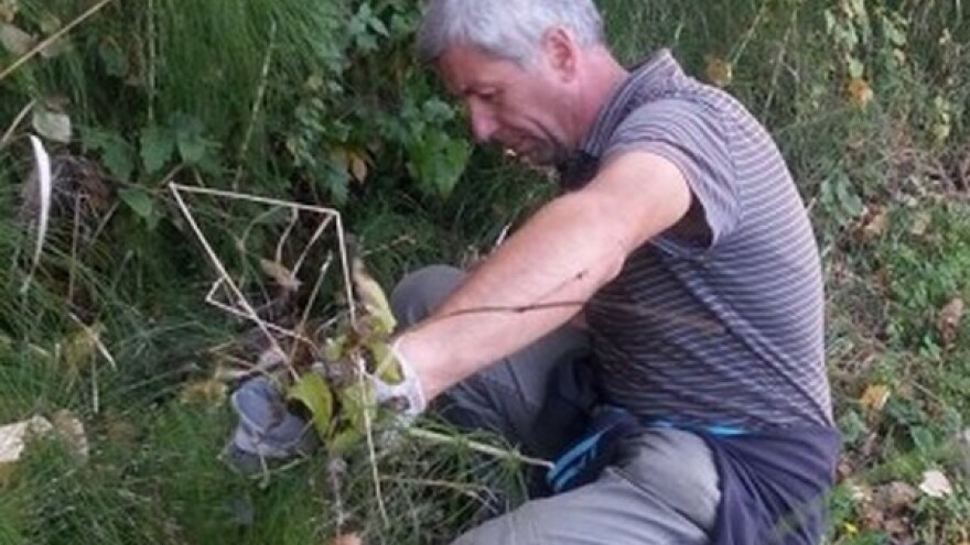 Budućnost u organskoj proizvodnji voća