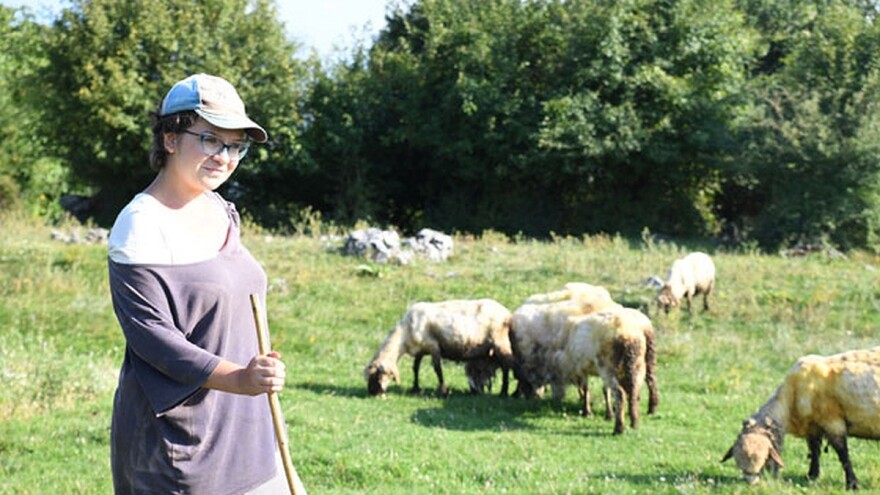 Milica Ćirić: Knjigovođa, koja vikendom čuva ovce!