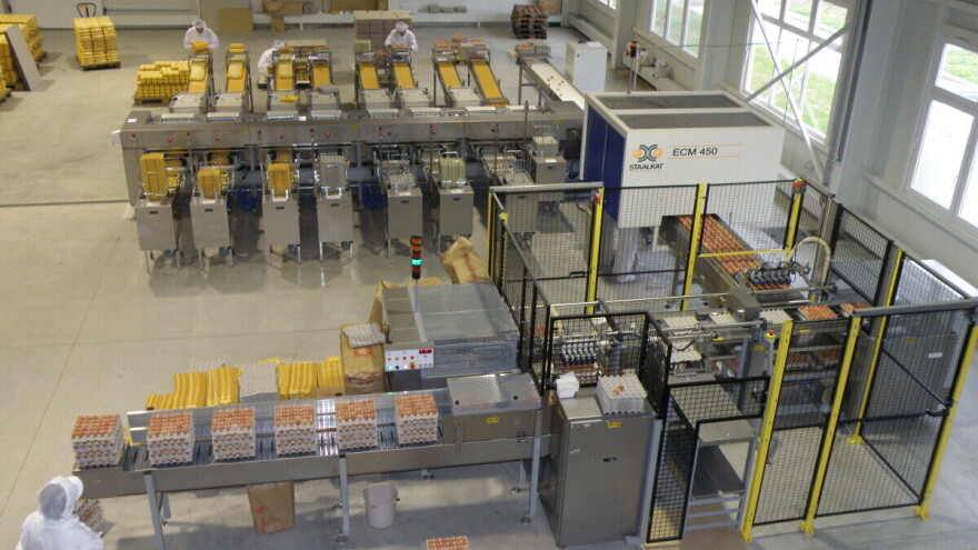 Milijarda jaja s farme koka nesilica Vuka: Žito grupa obilježila veliki proizvodni jubilej