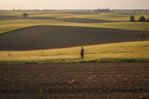 Milijun državnih hektara čeka kupca