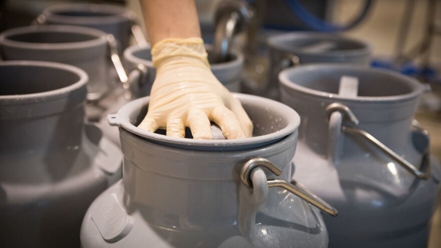 TISUP: Otkupna cijena mlijeka u blagom padu