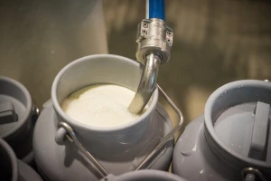 U studenom prikupljeno 1.595 tona manje mlijeka nego godinu ranije