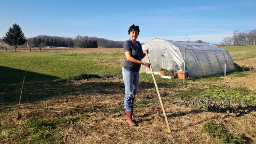 Fajferice im odredile životni put: doveli ih na Krk pa s otoka preselili na kopno