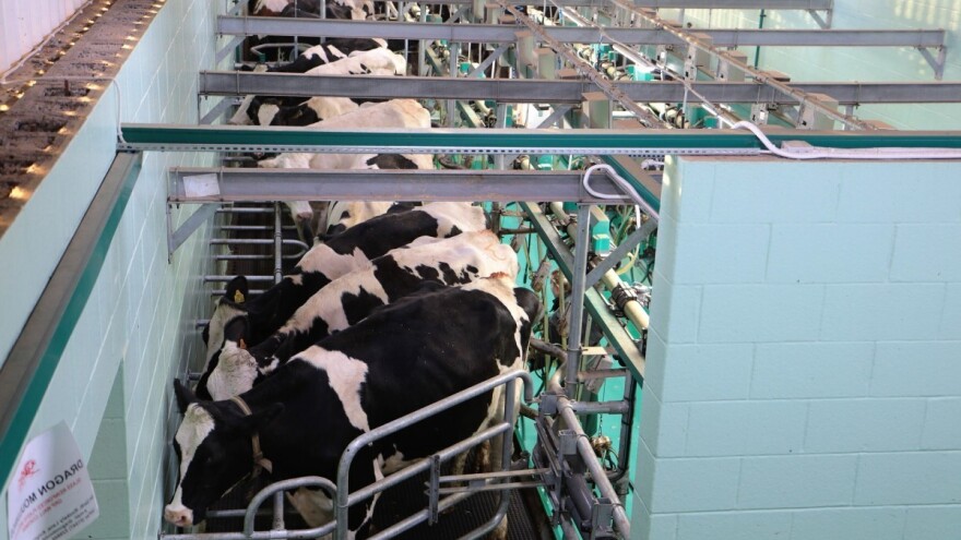 Novi EU ekološki standardi za industriju hrane, pića i mlijeka