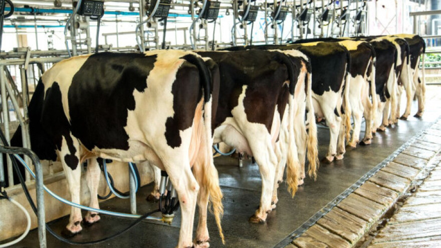 Drugi srpski kongres mlekarstva