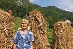Milojka Joksimović: Bez pasulja nema seoskog domaćinstva